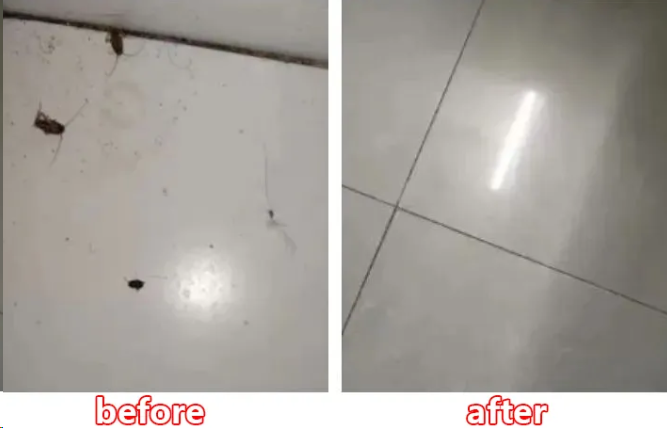1745219900771_d.png